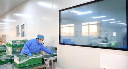 金山再添工厂店 生鲜产品直供知名美食连锁，价格亲民惠及大众