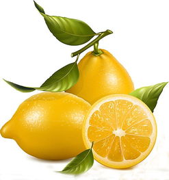 重庆比邻兔社区生鲜招募供应商，共创生鲜及其他食品销售新机遇