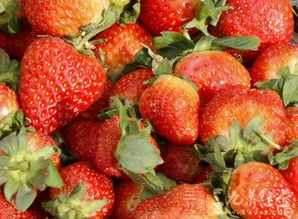 生鲜食品销售新规 保障食品安全与品质